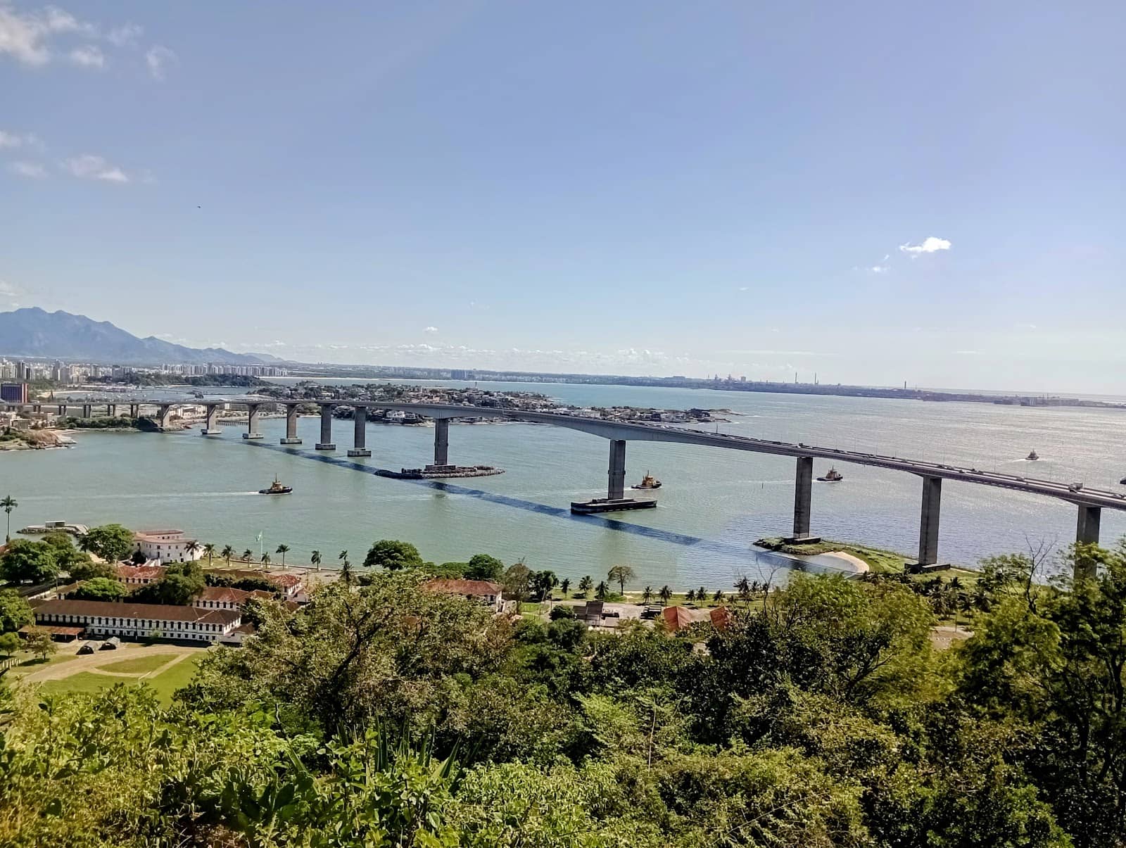 Vertical photo