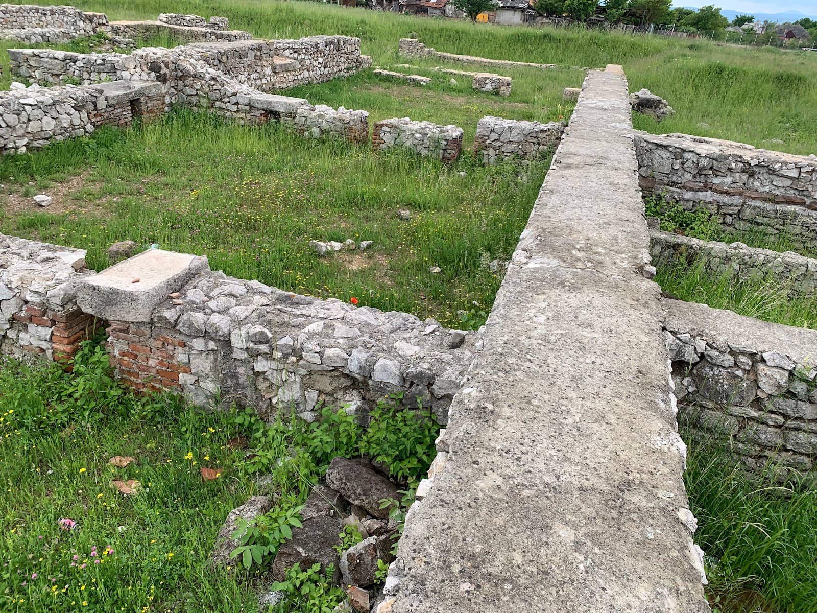 Active Archaeological Excavation