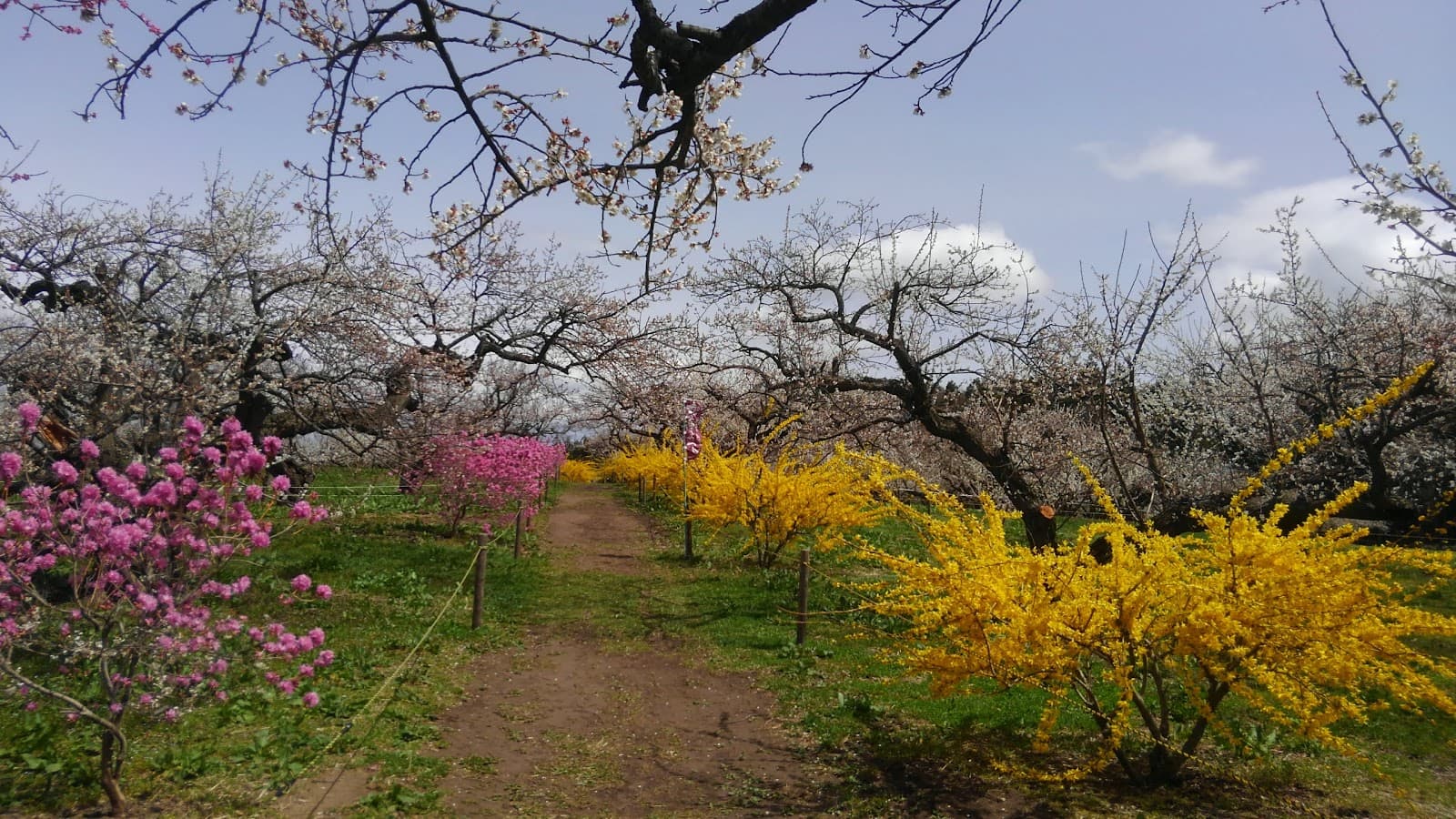 Iwadeyama Old Town - Image 1