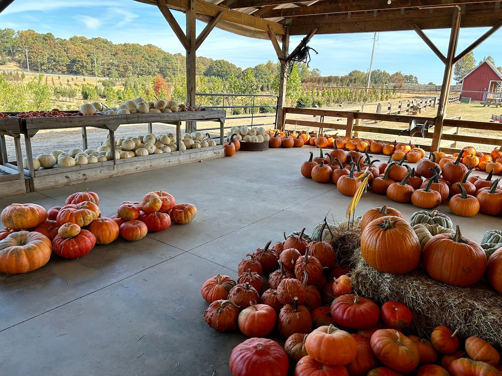 Kinsey Family Farm - Image 1