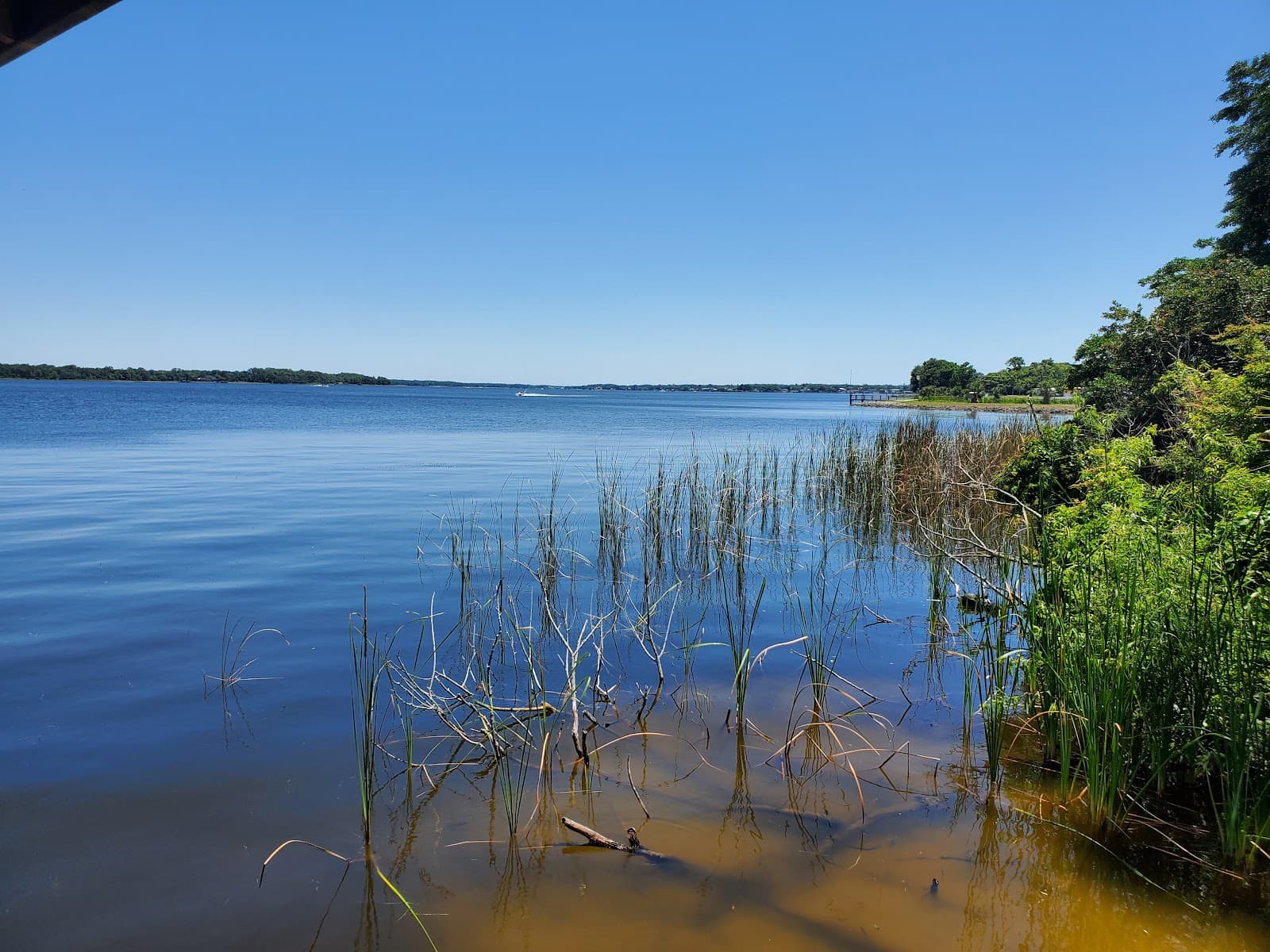 Lake Tarpon - Image 1