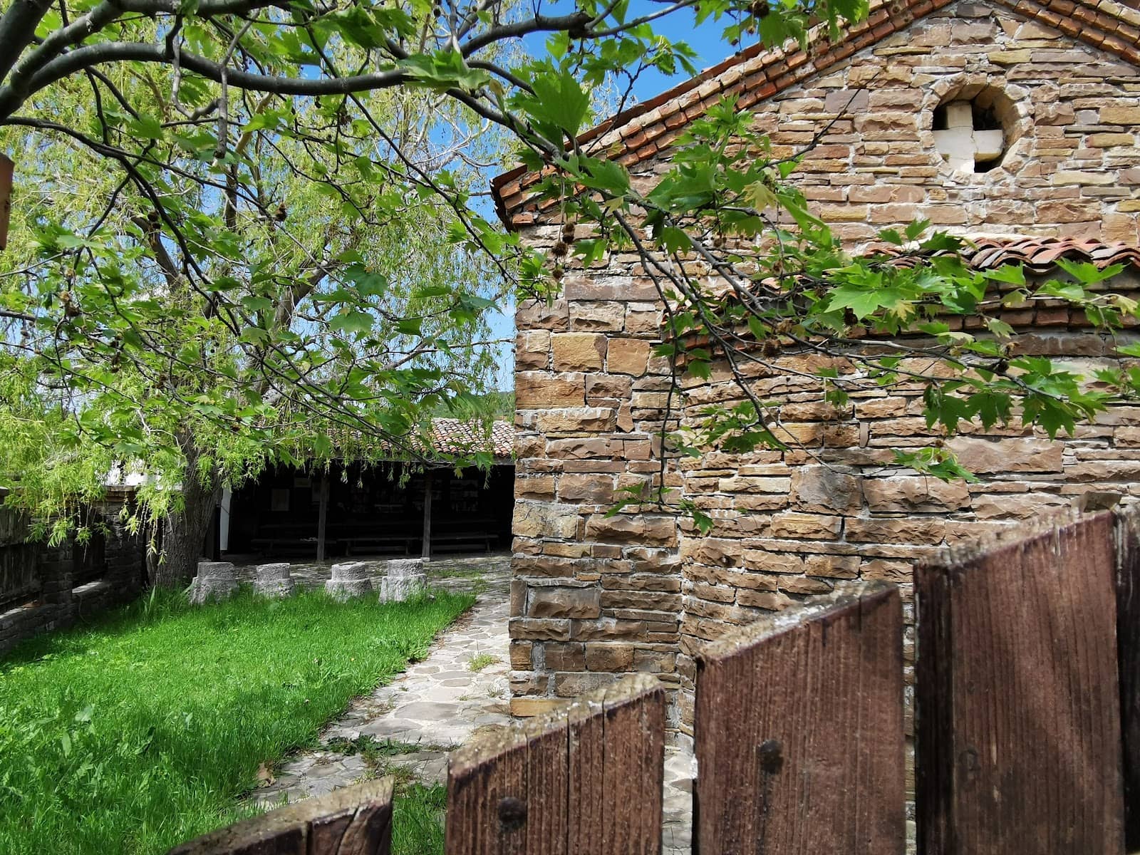 Baby Donkey Encounters