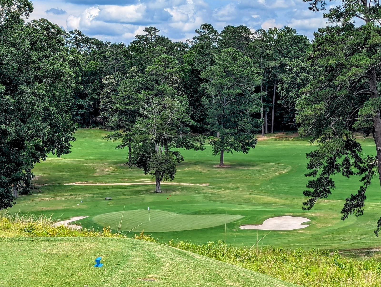 Palmetto Golf Club - Image 1