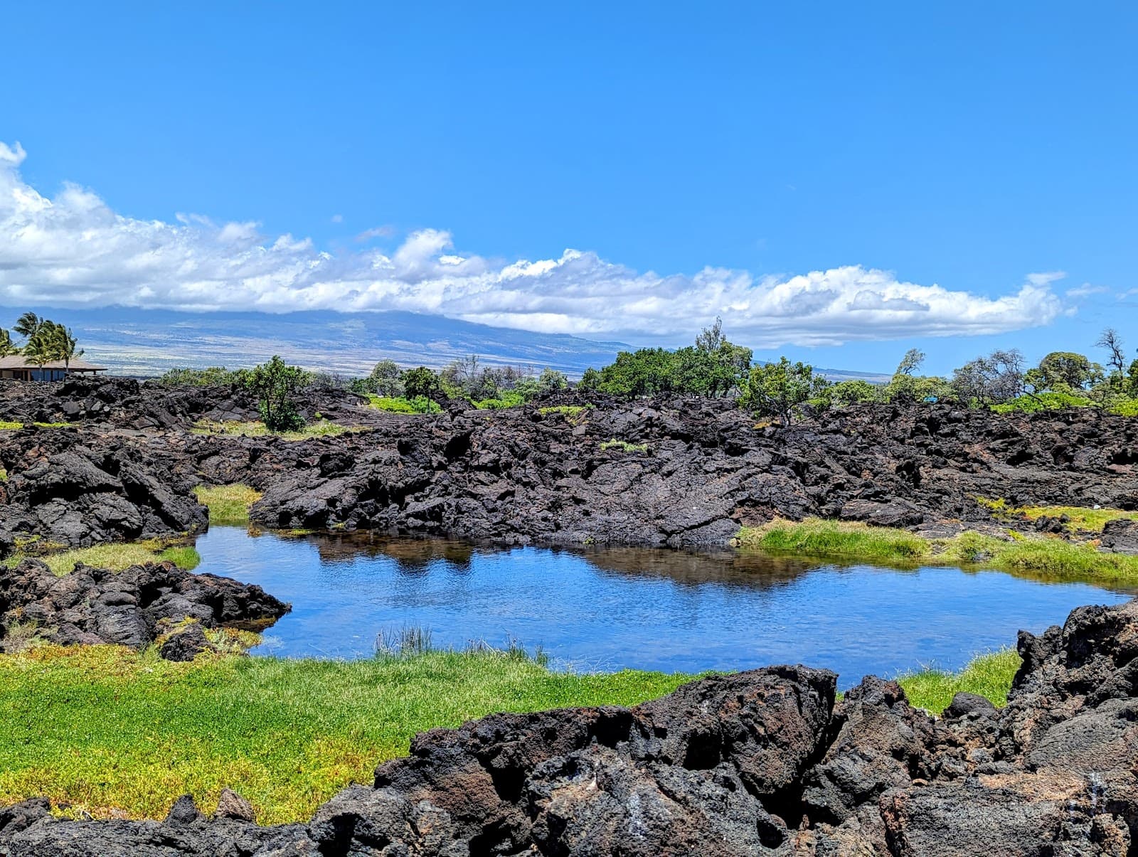 Waikoloa Anchialine Ponds - Image 1