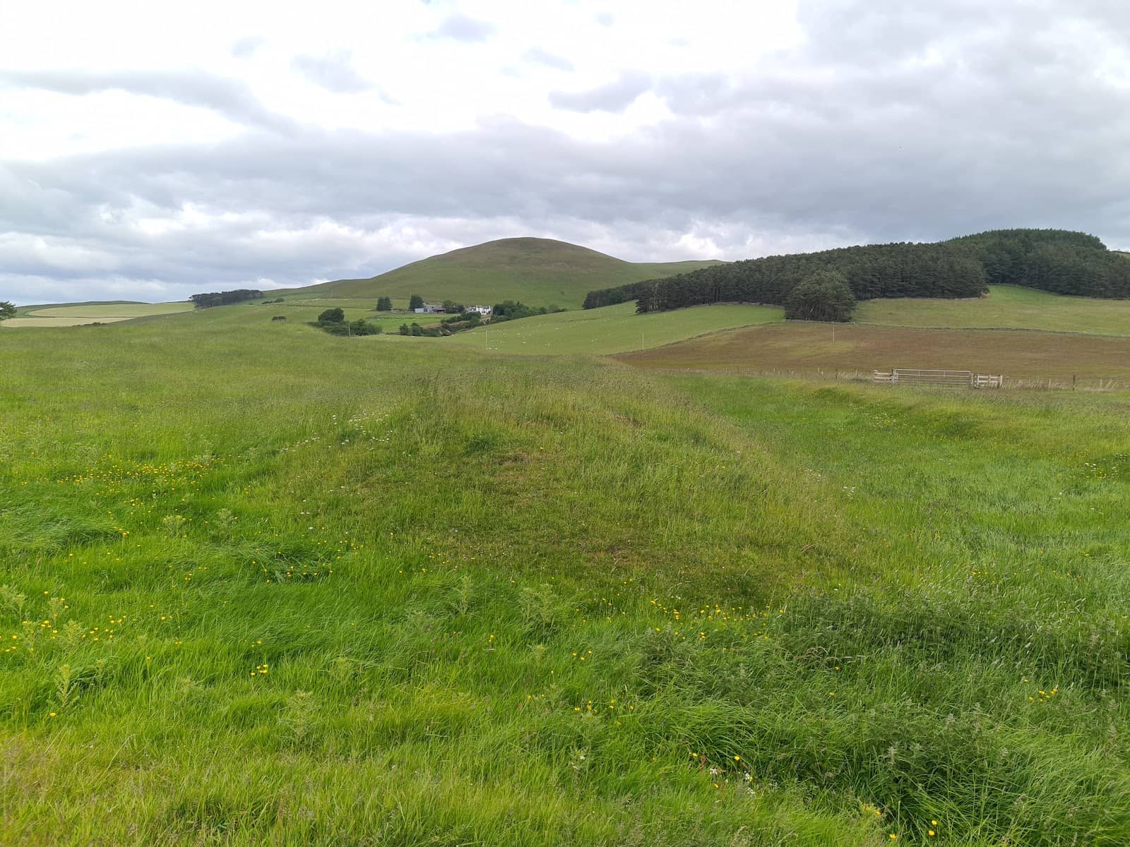 Principia and Commandant's House