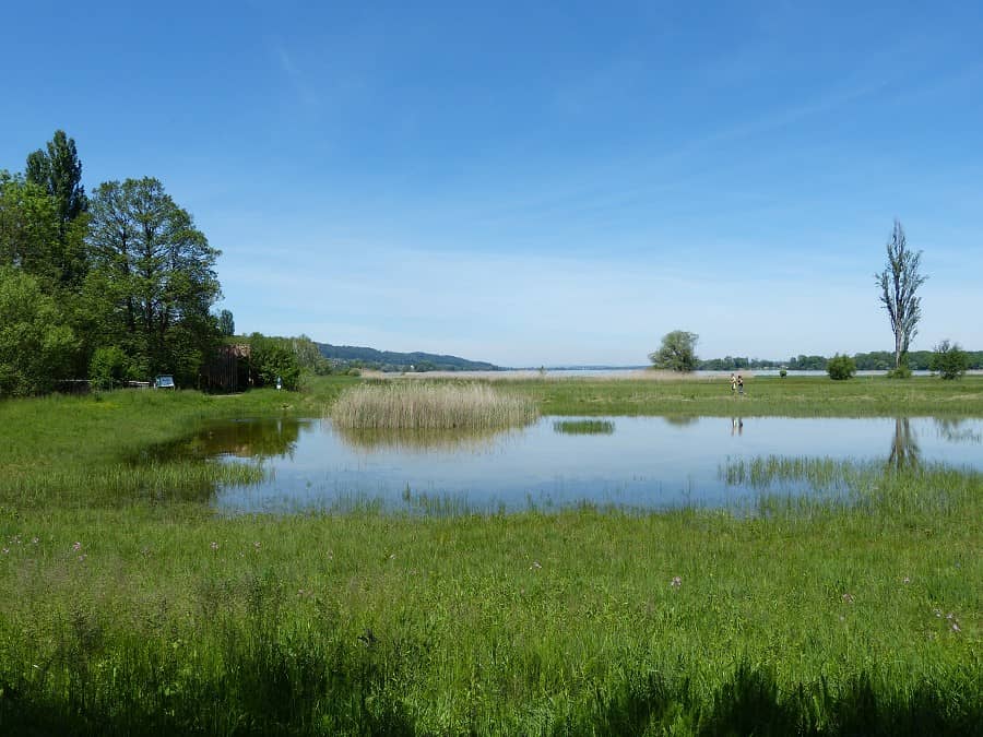 Nature Reserve and Bird Watching