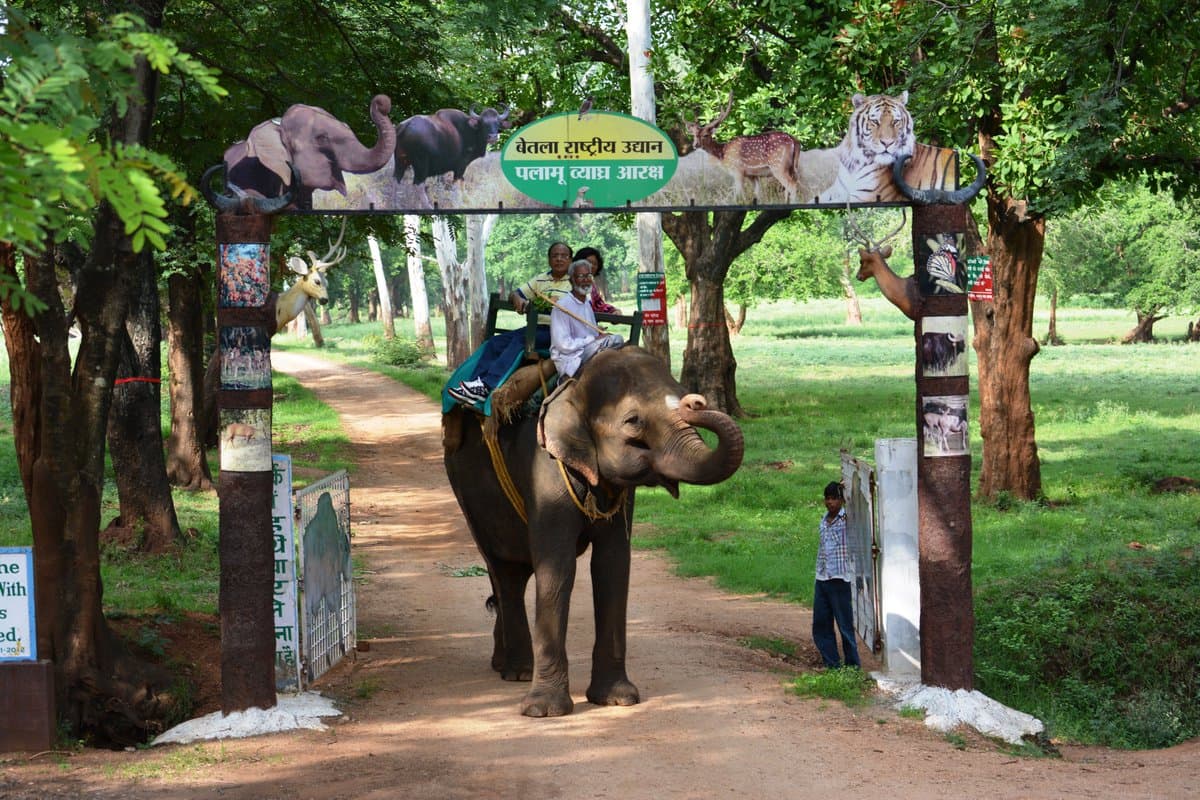 Betla National Park - Image 1