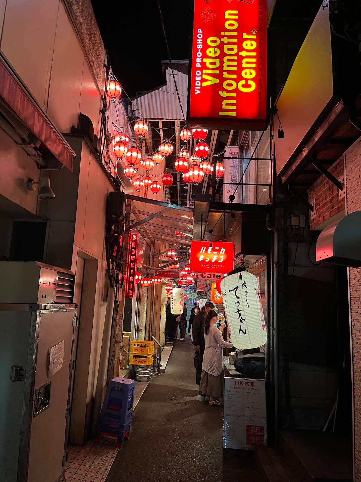 Harmonica Yokocho (Kichijoji) - Image 1