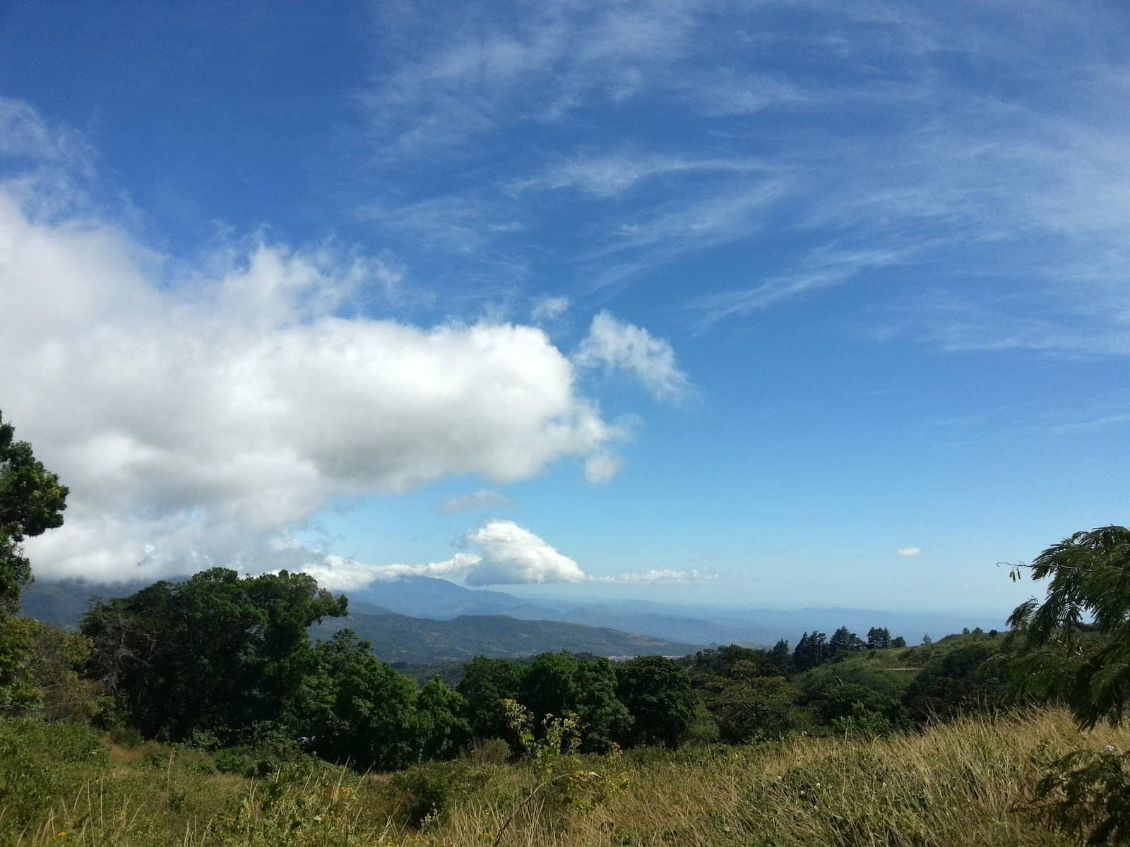 Chevas Coffee Estate