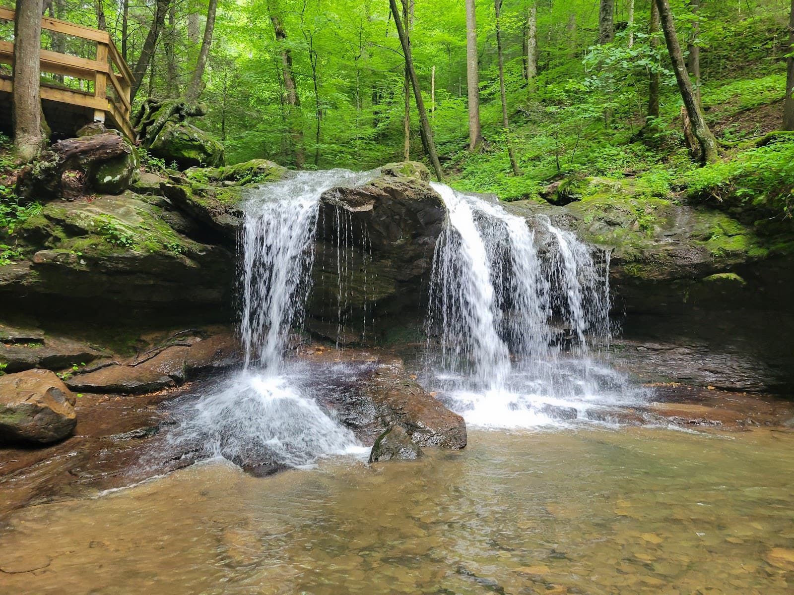 Frozen Head State Park - Image 1