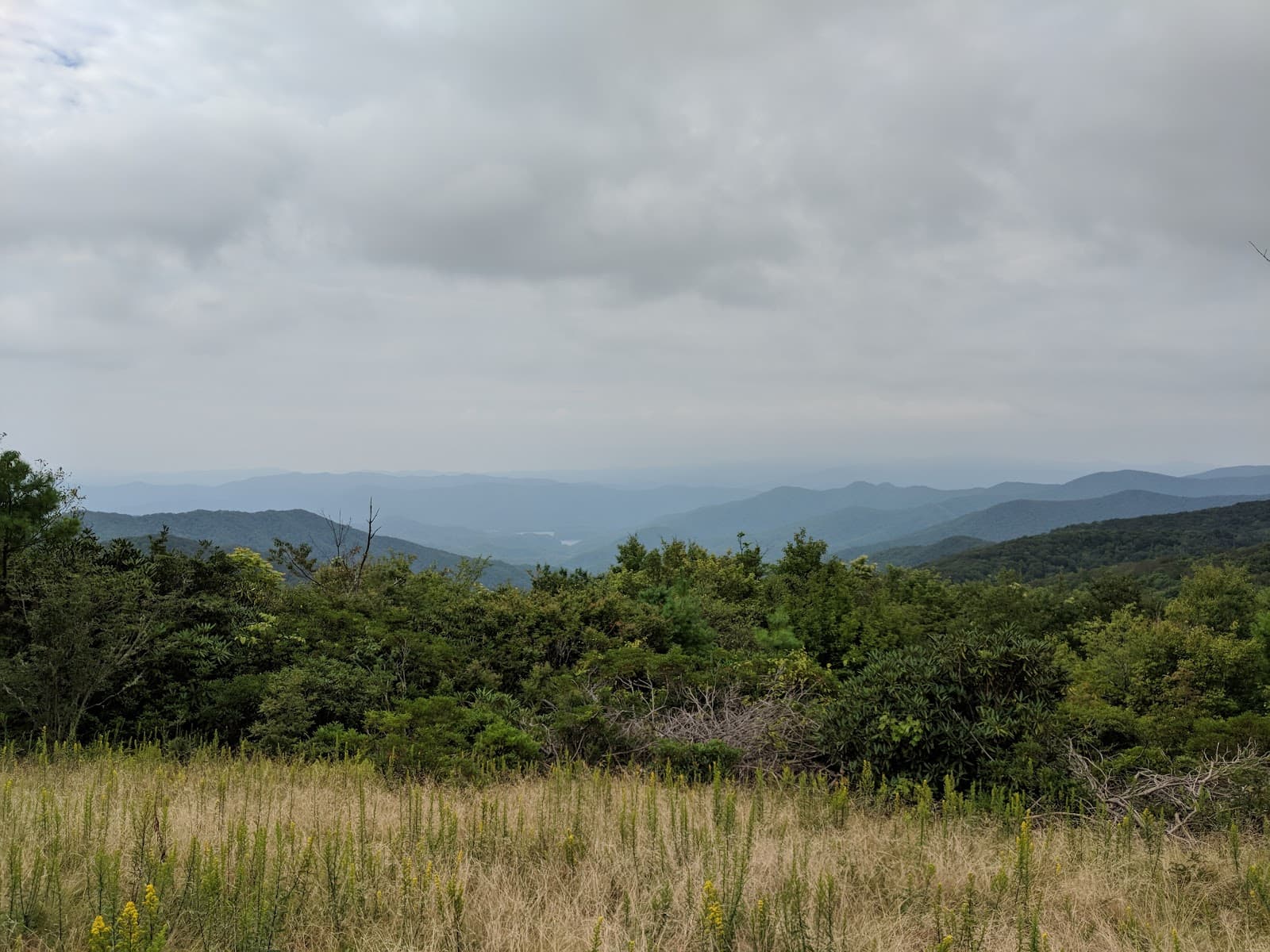 Spence Field Great Smoky Mountains - Image 1