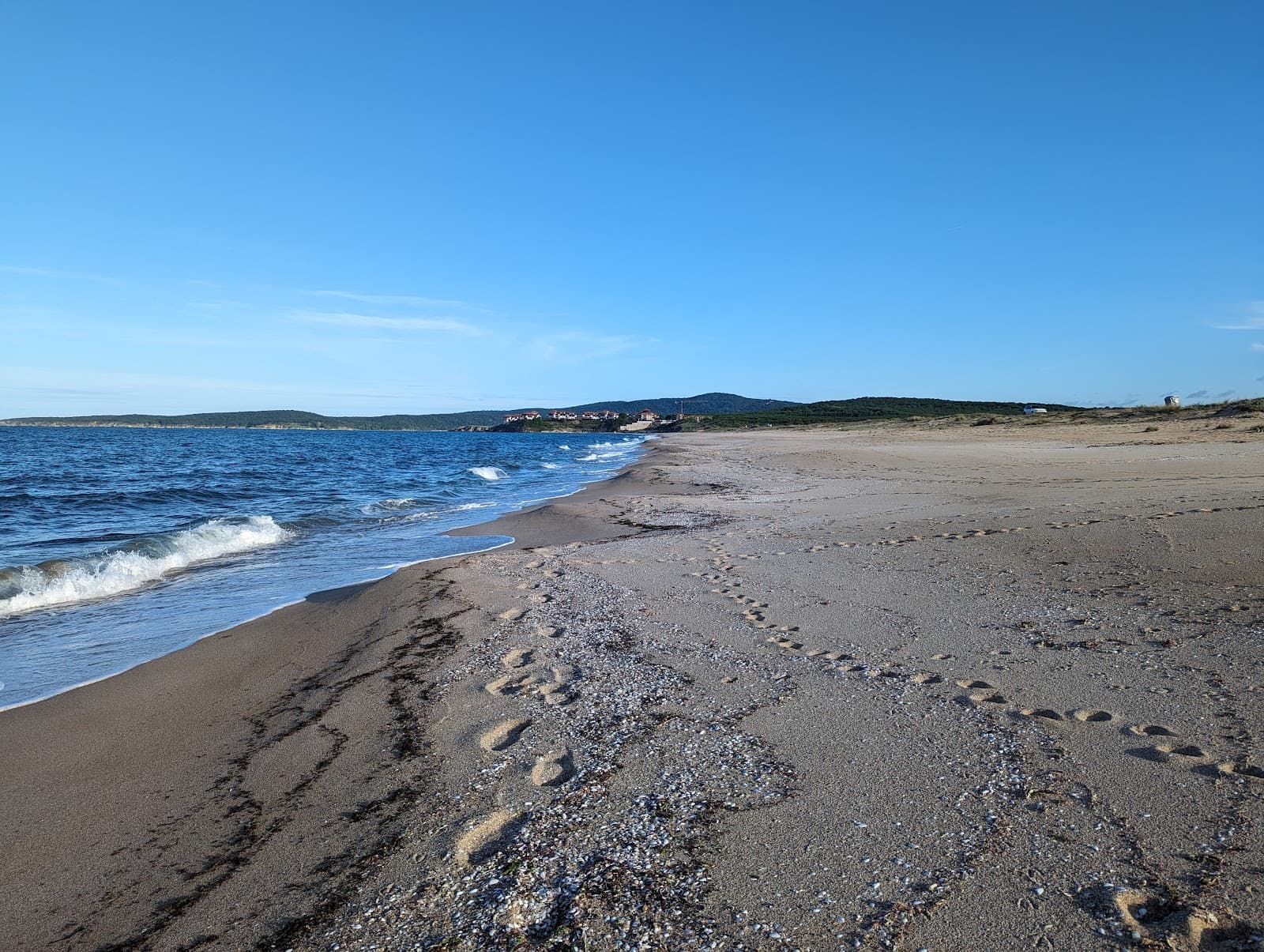 Alepu Marsh and Beach - Image 1