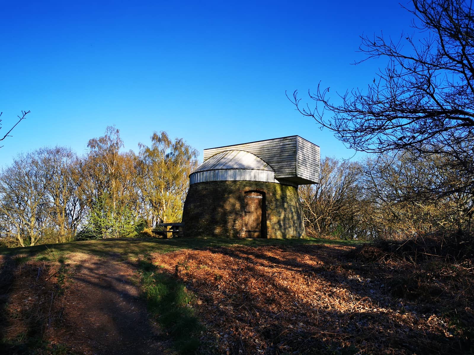 Vertical photo