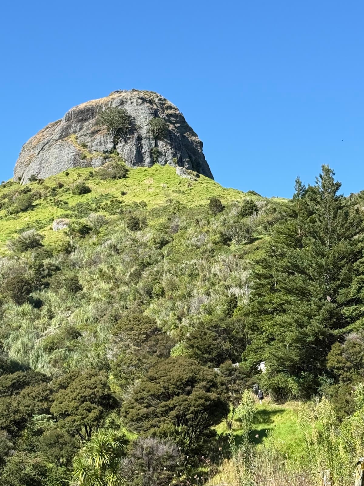 St Paul’s Rock (Whangaroa) - Image 1