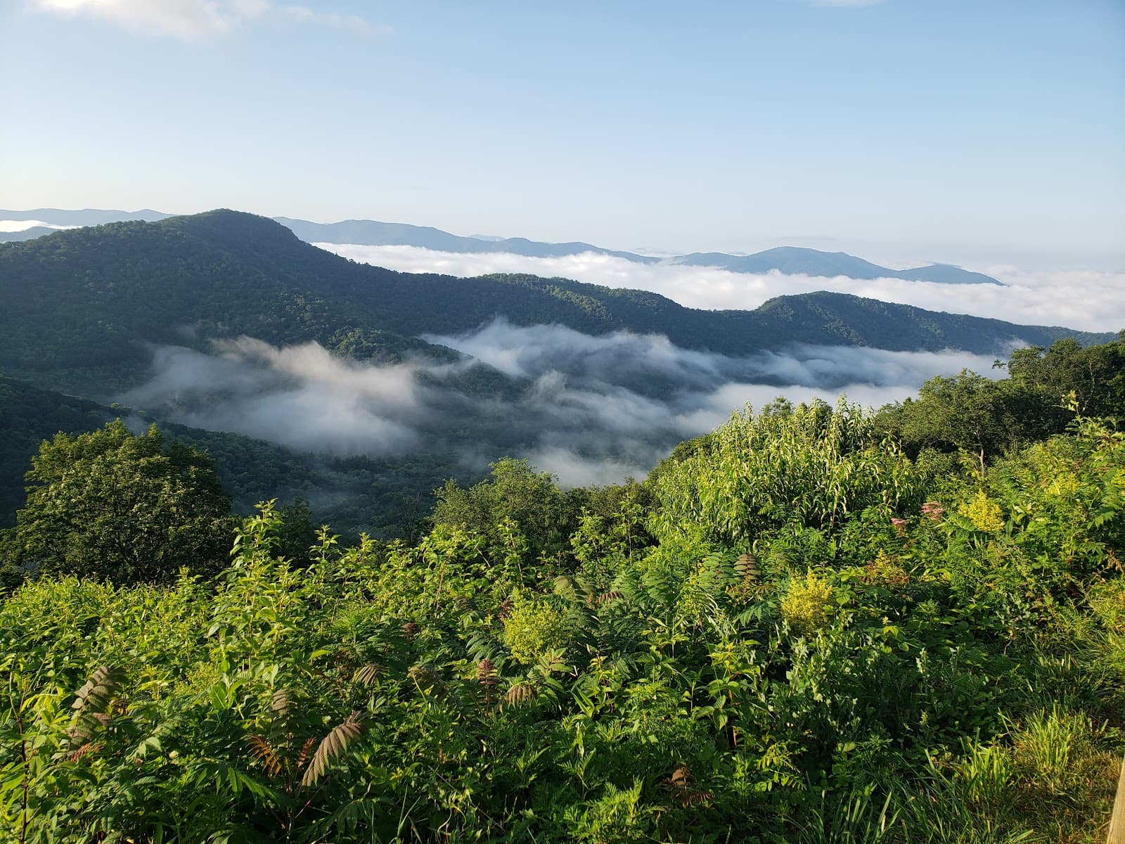 Blue Ridge Parkway Southern Terminus - Image 1