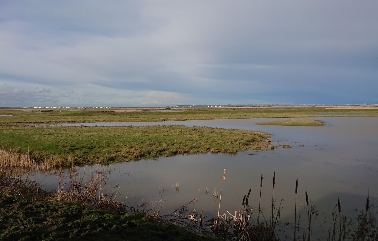 RSPB Northward Hill - Image 1