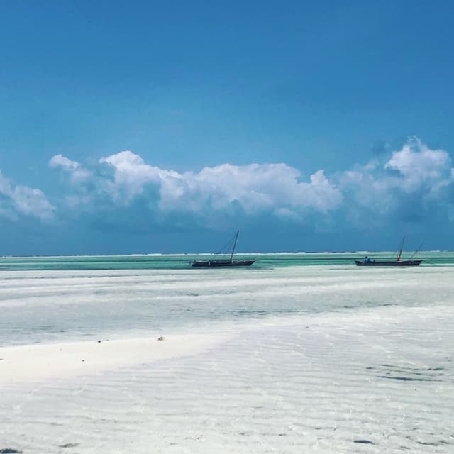 Jacaranda Bay - Image 1