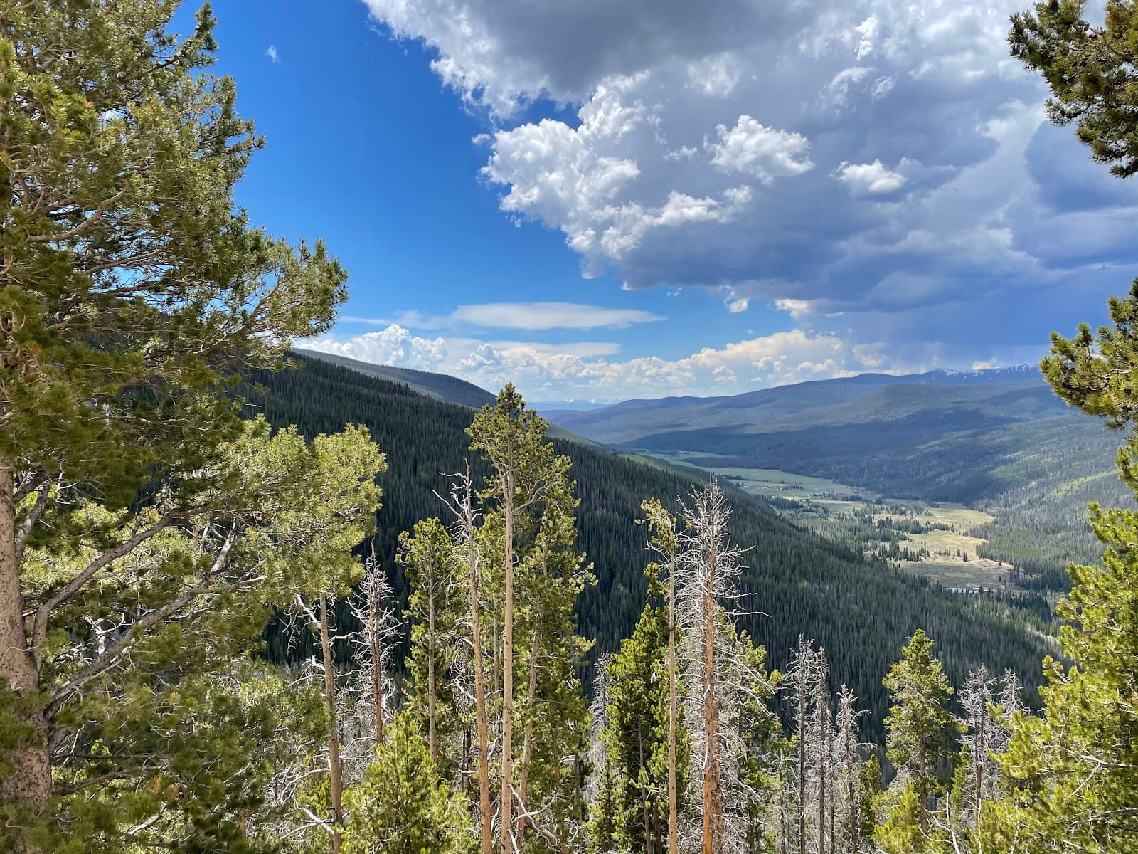 Far View Curve - Image 1
