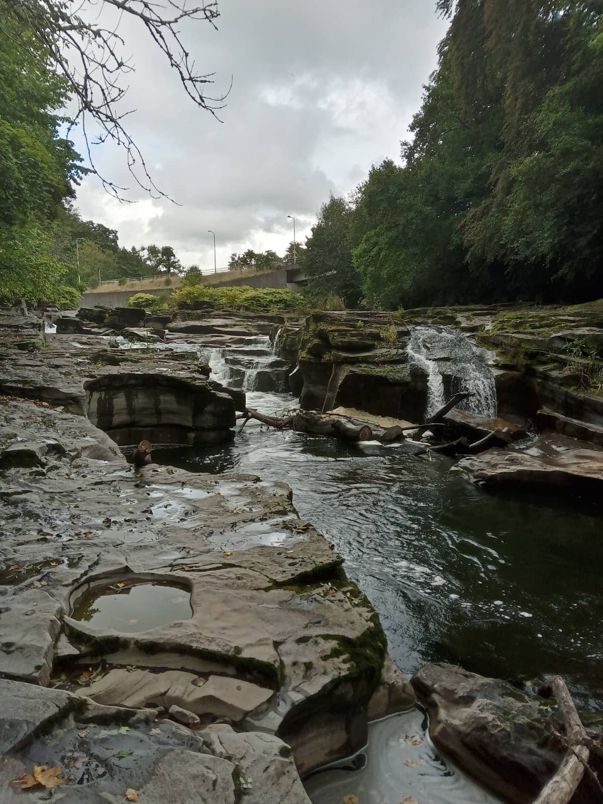 Hiking Trails