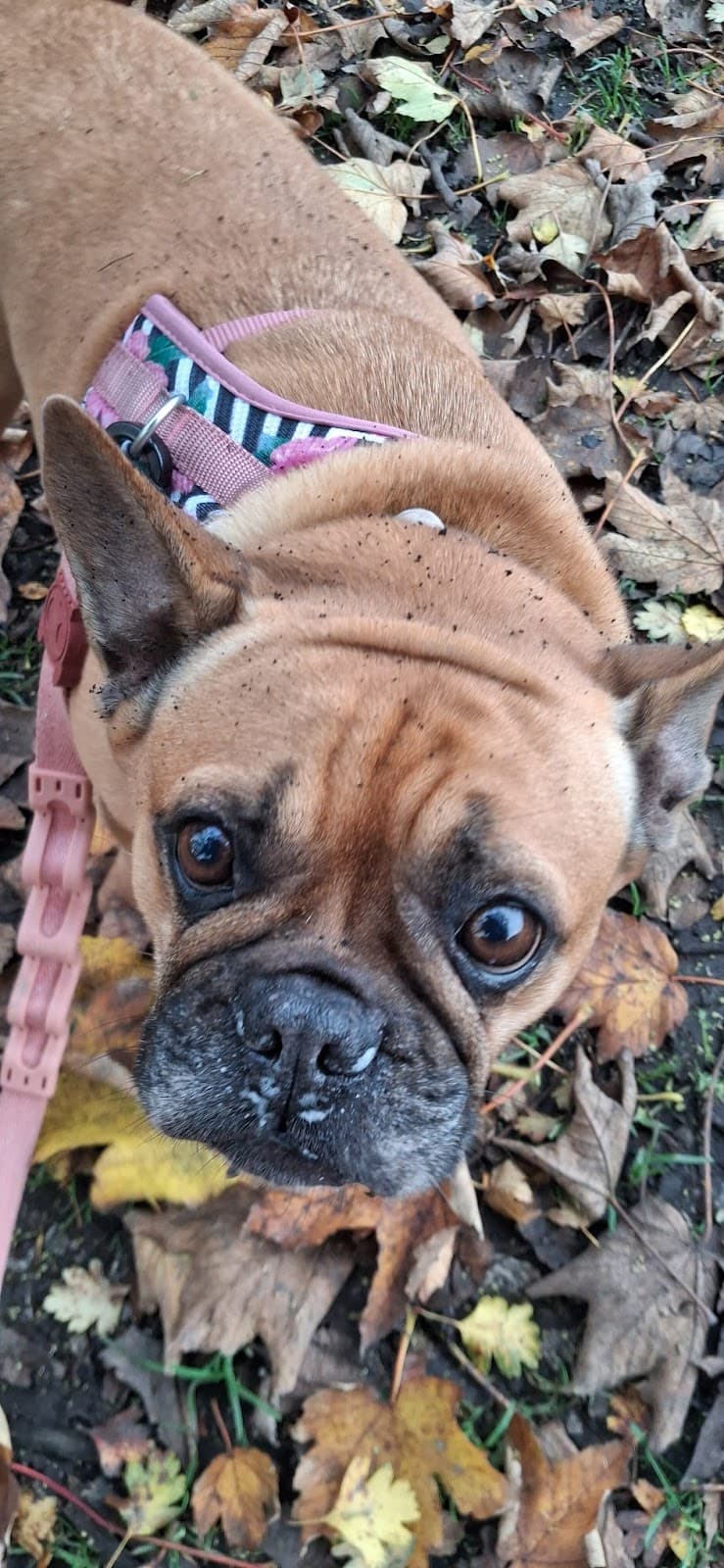 Murdishaw Valley Greenway - Image 1