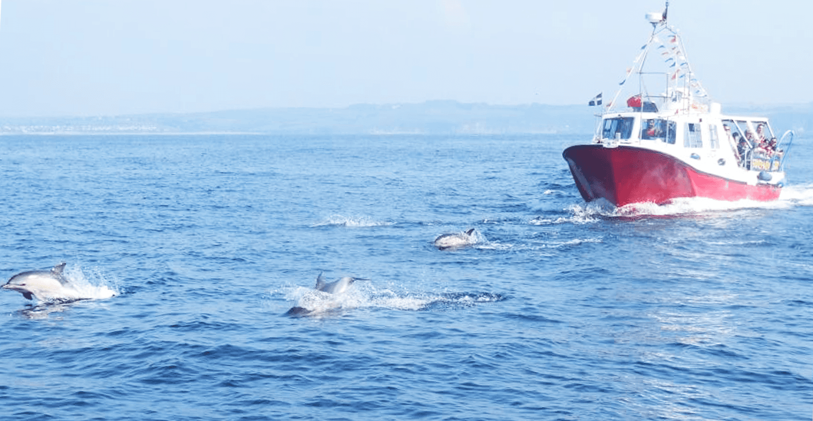 Charming Harbour Towns