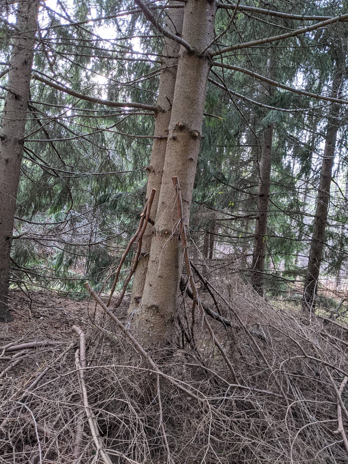 Vertical photo