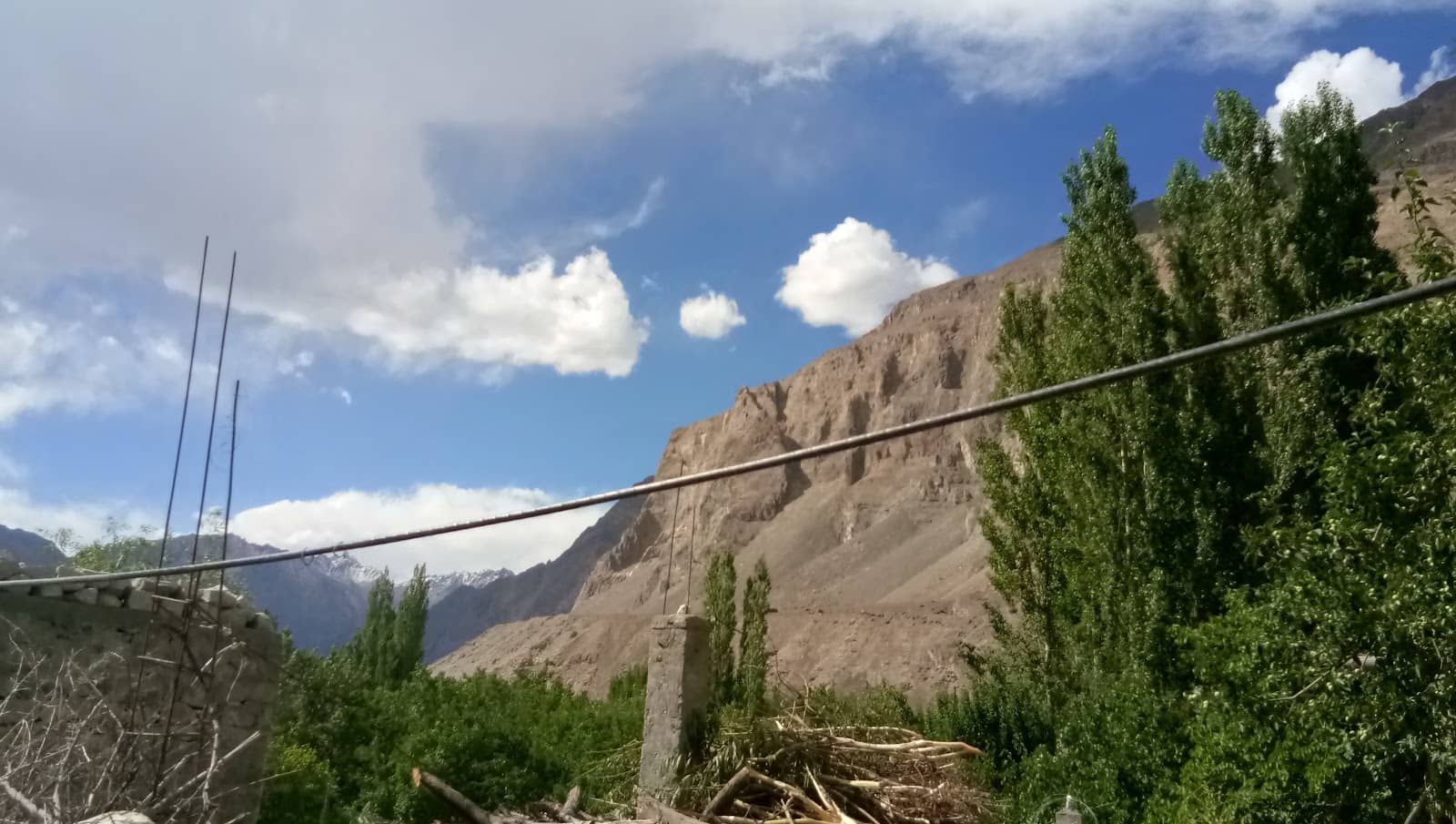 Vertical photo
