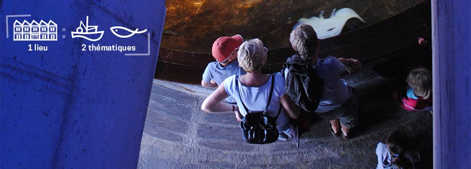 Touch Pool Experience