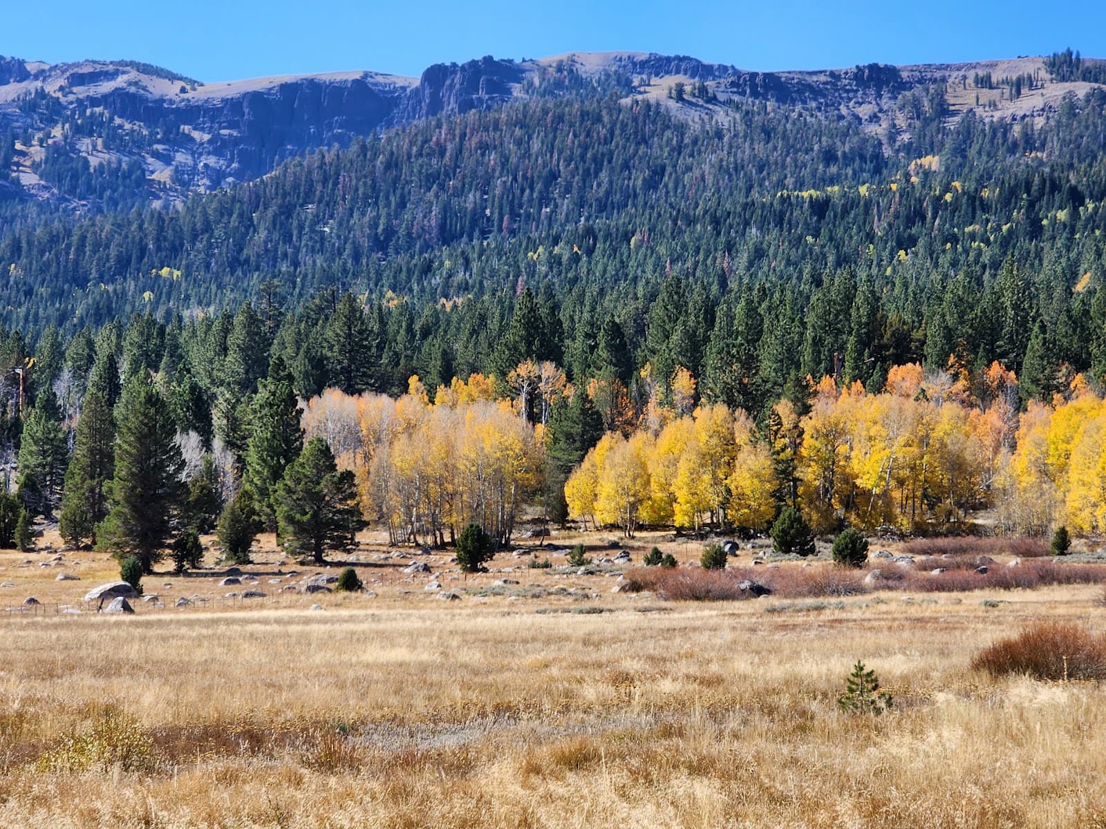 Hope Valley - Image 1