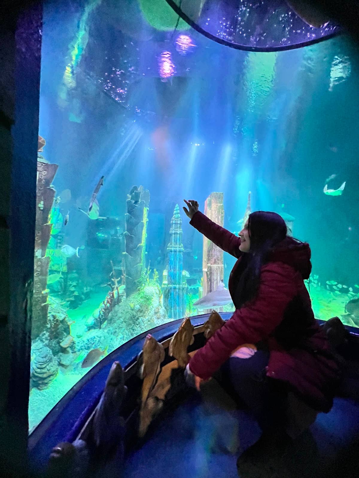 Interactive Touch Pool