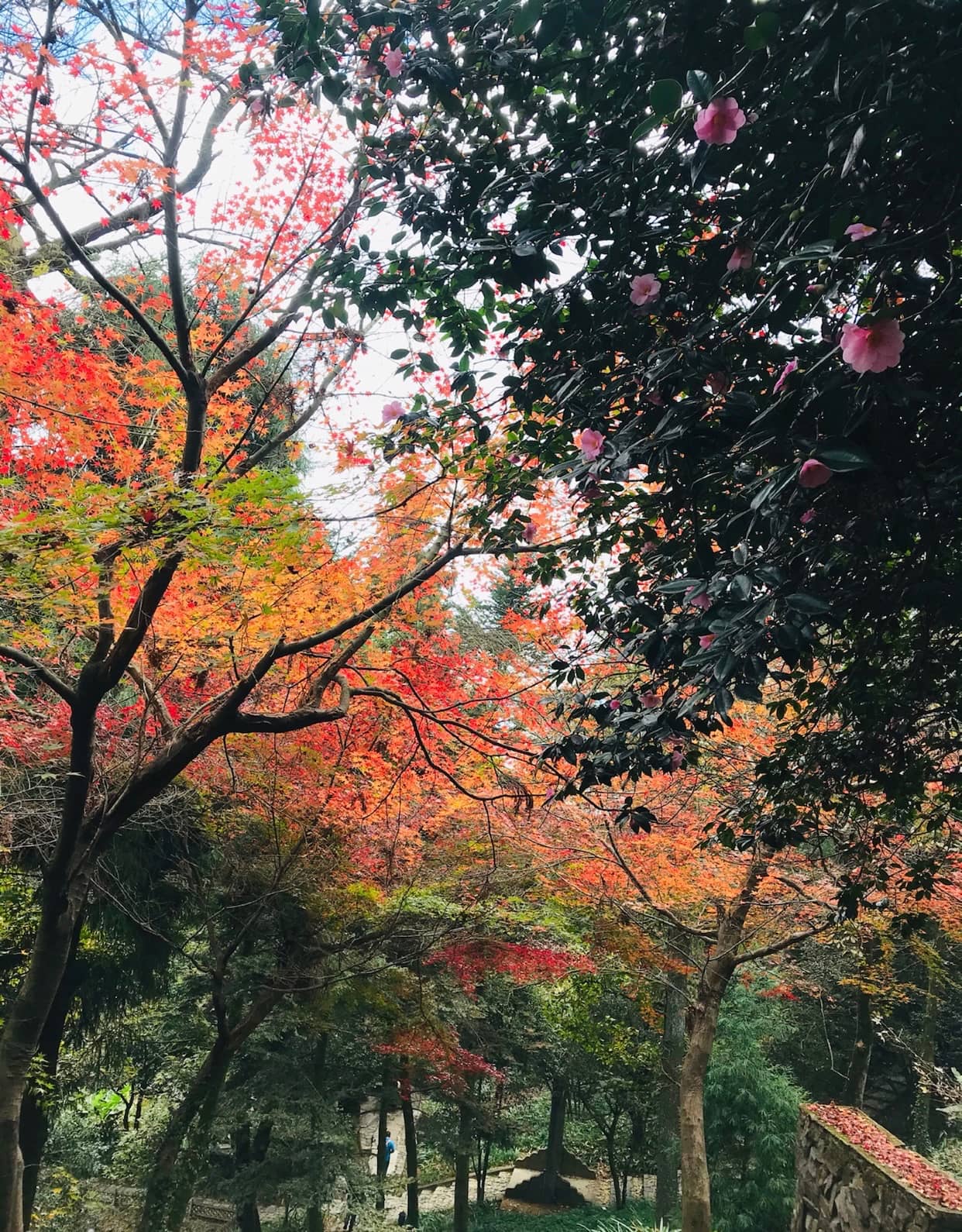 Vertical photo