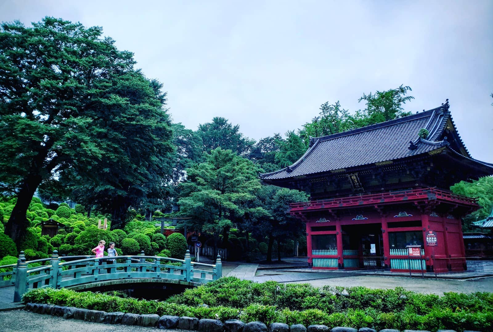 Azalea Garden at Nezu Shrine