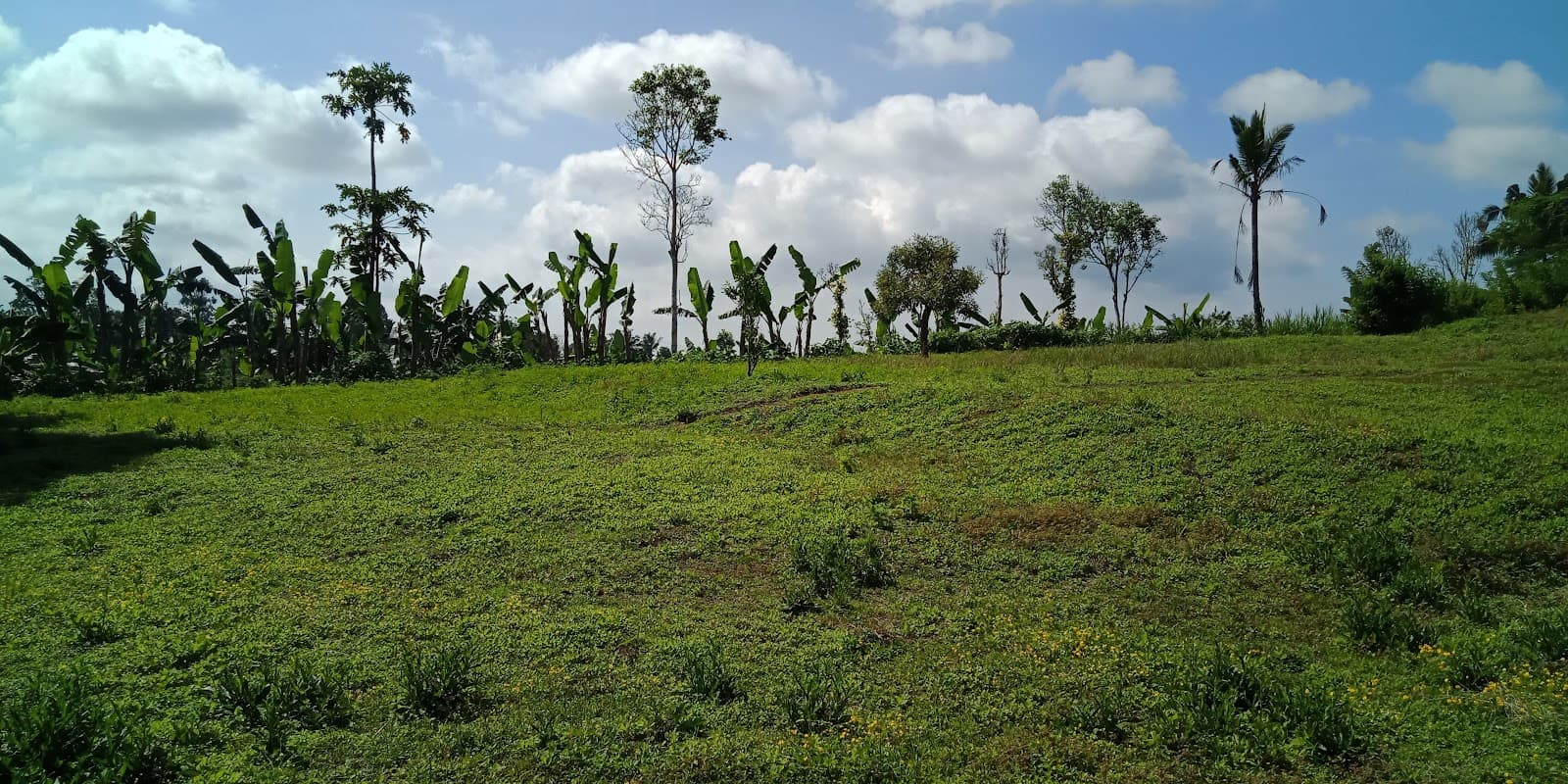 Belantih Village - Image 1