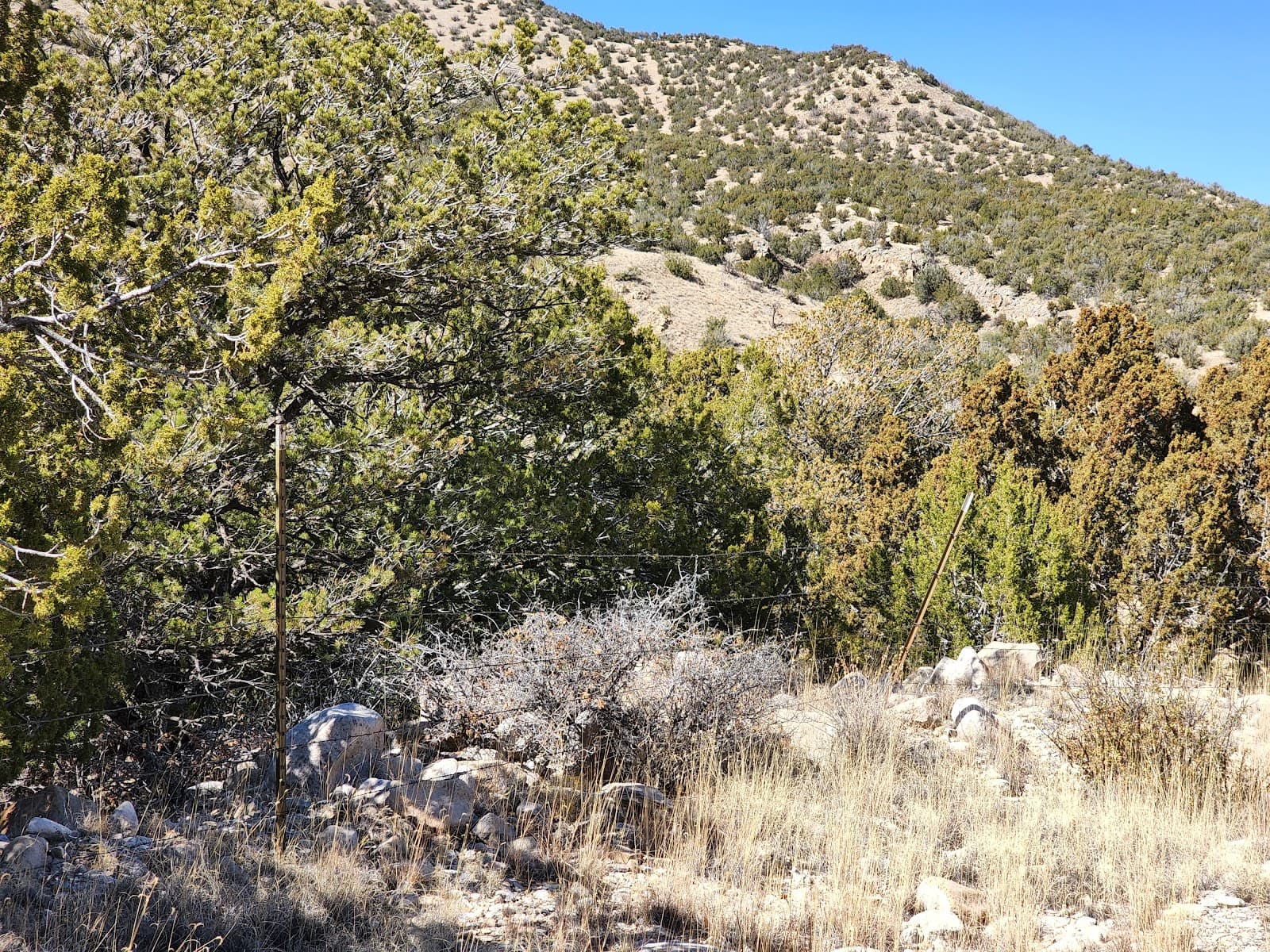 White Oaks Ghost Town - Image 1