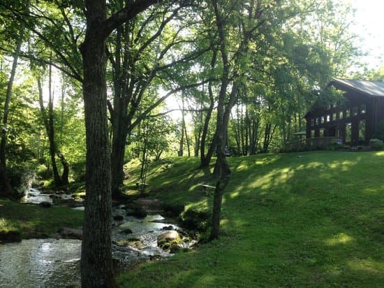 Abingdon Vineyards - Image 1