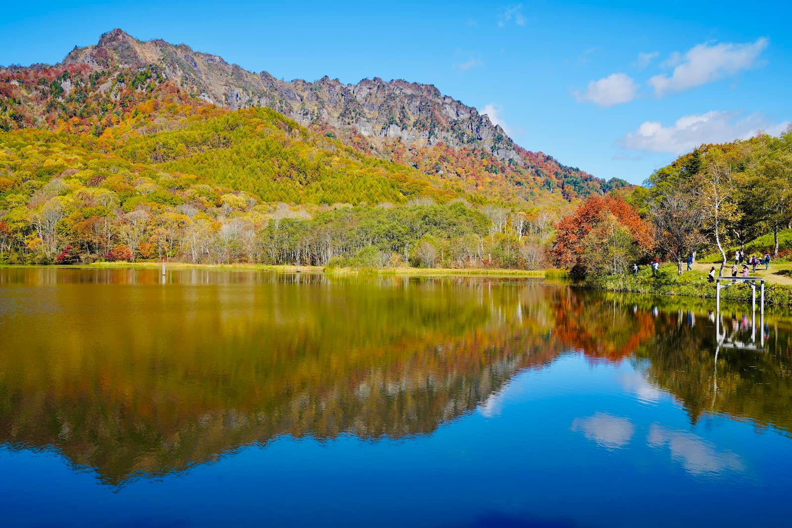 Togakushi Mountain Views