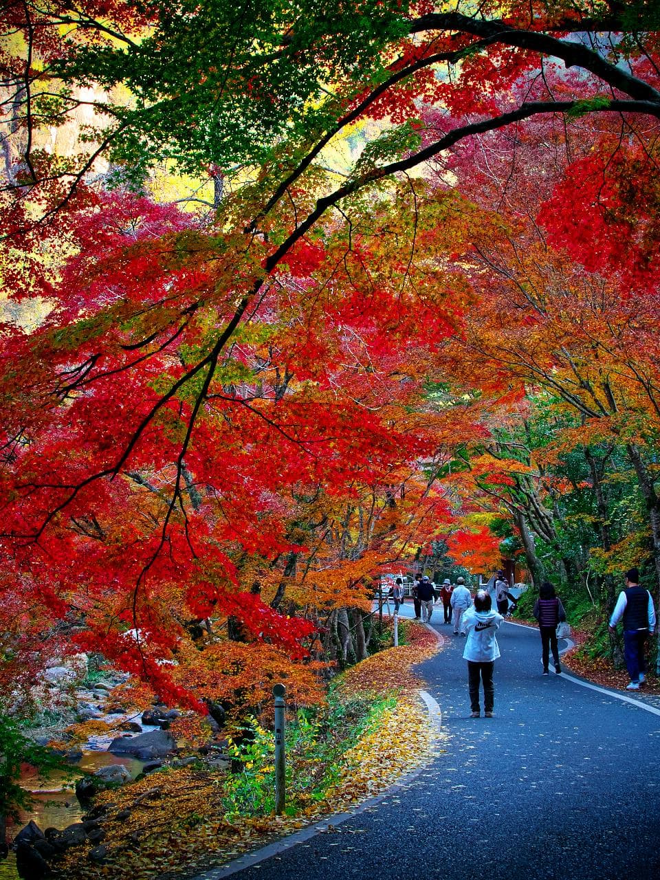 Gokei Gorge - Image 1