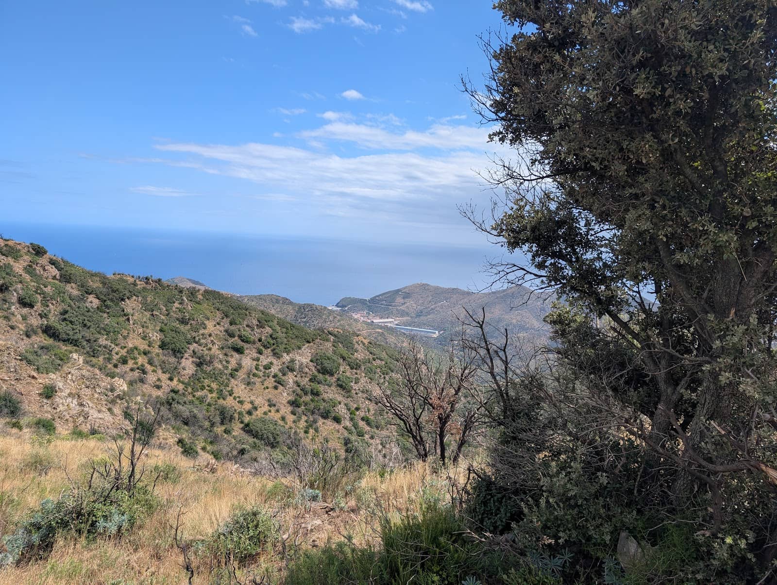 Banyuls-sur-Mer