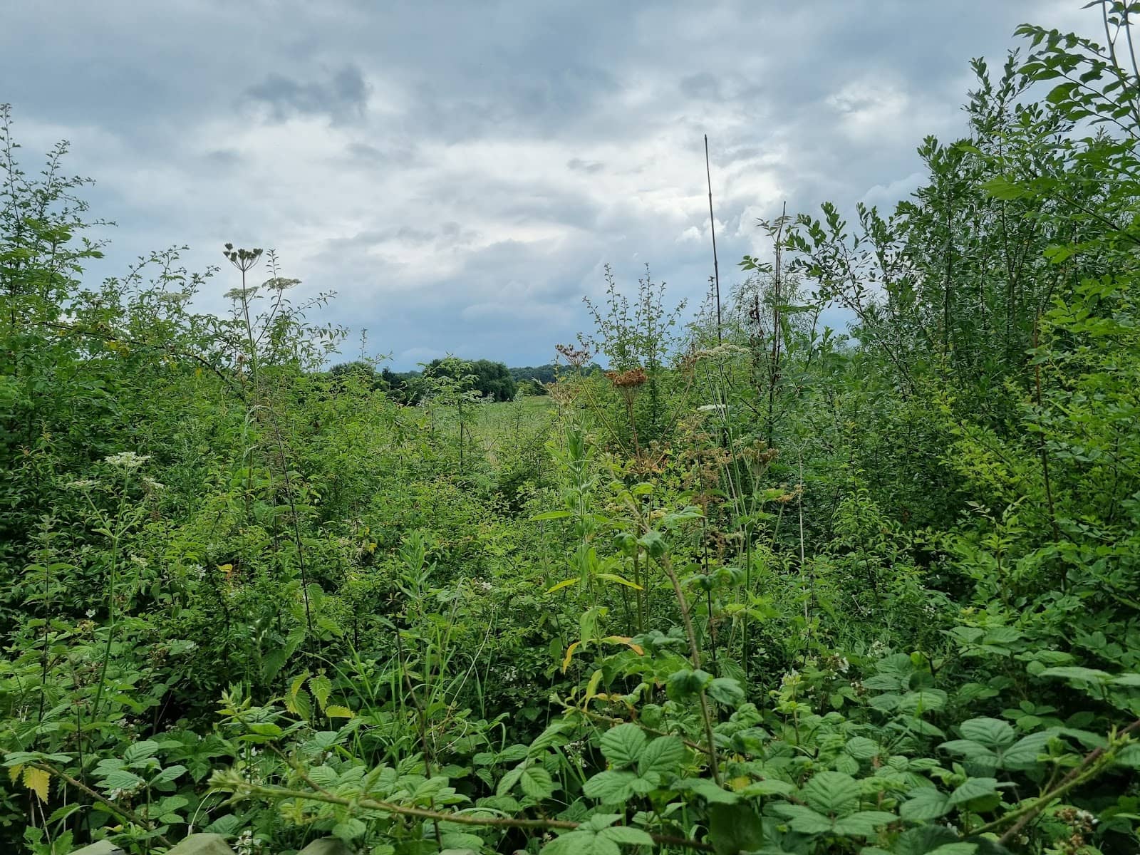 Accessible Pathways