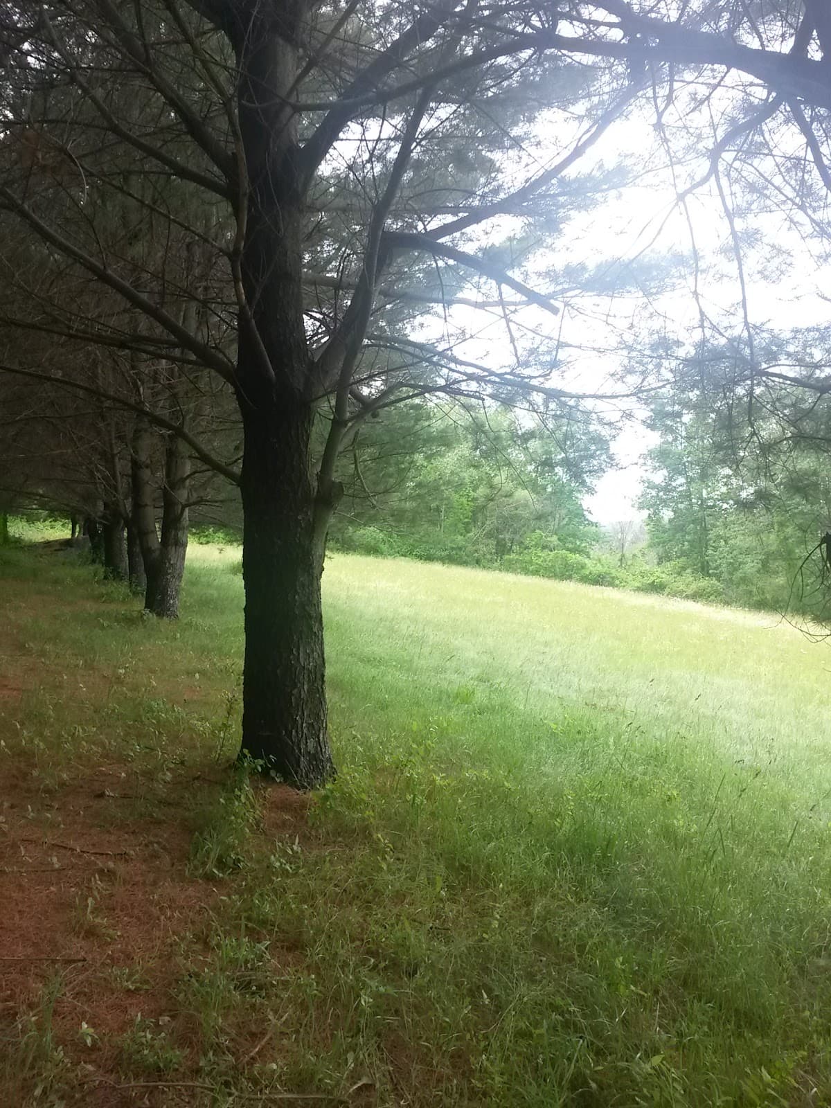 Shuttle Meadow Reservoir - Image 1