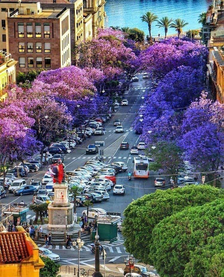 Largo Carlo Felice - Image 1