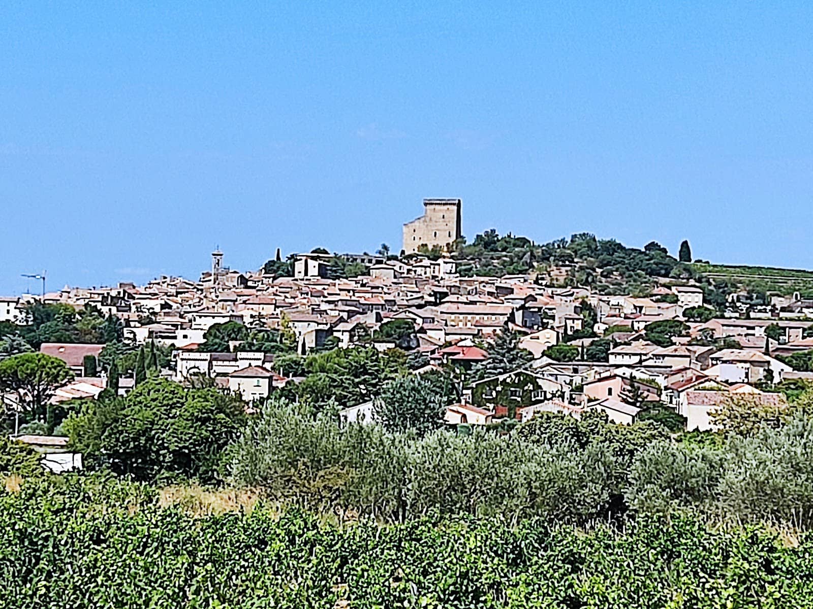 Vertical photo