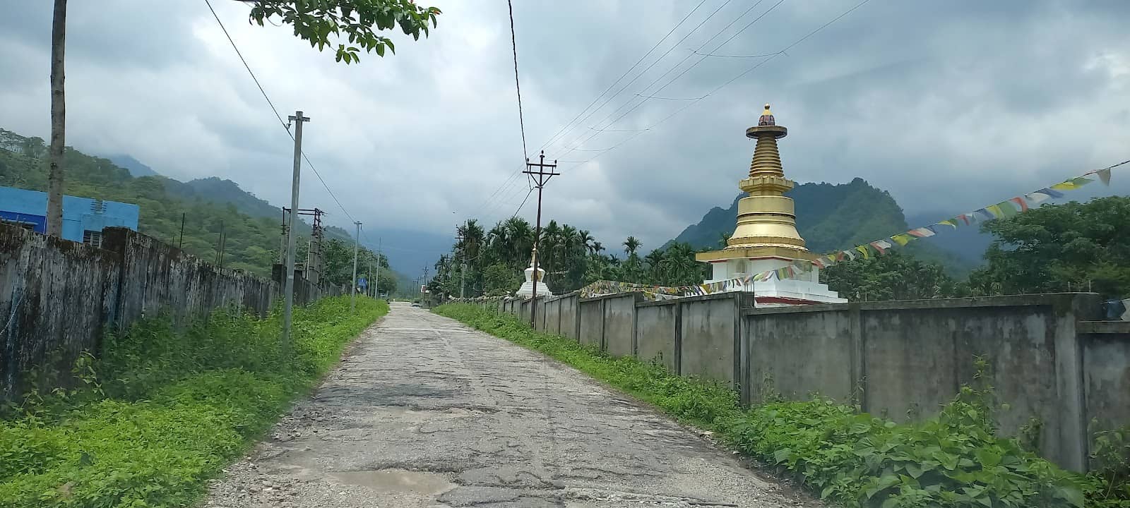 Jhandi's Natural Landscapes