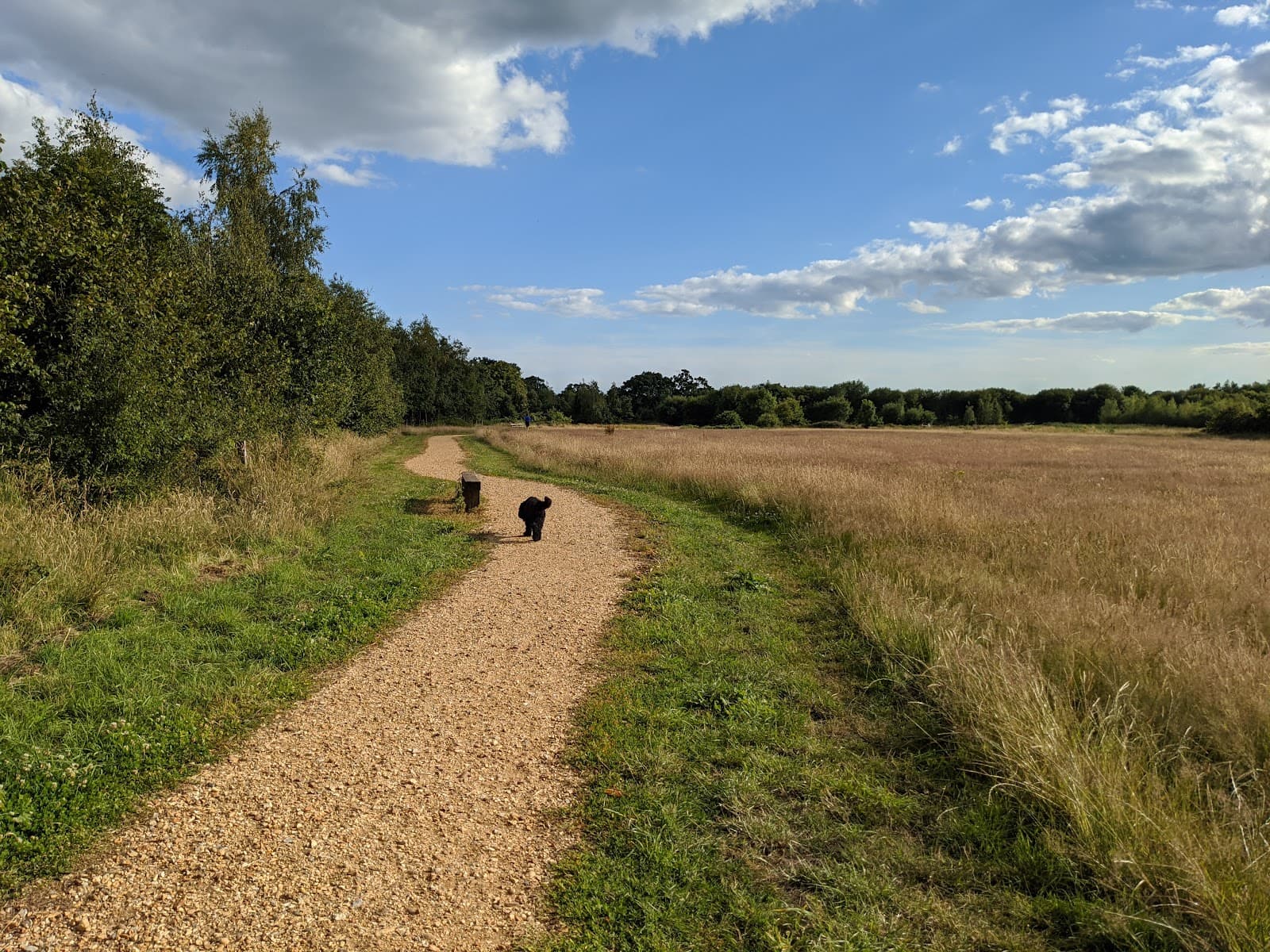 Bytheway Field Colehill - Image 1