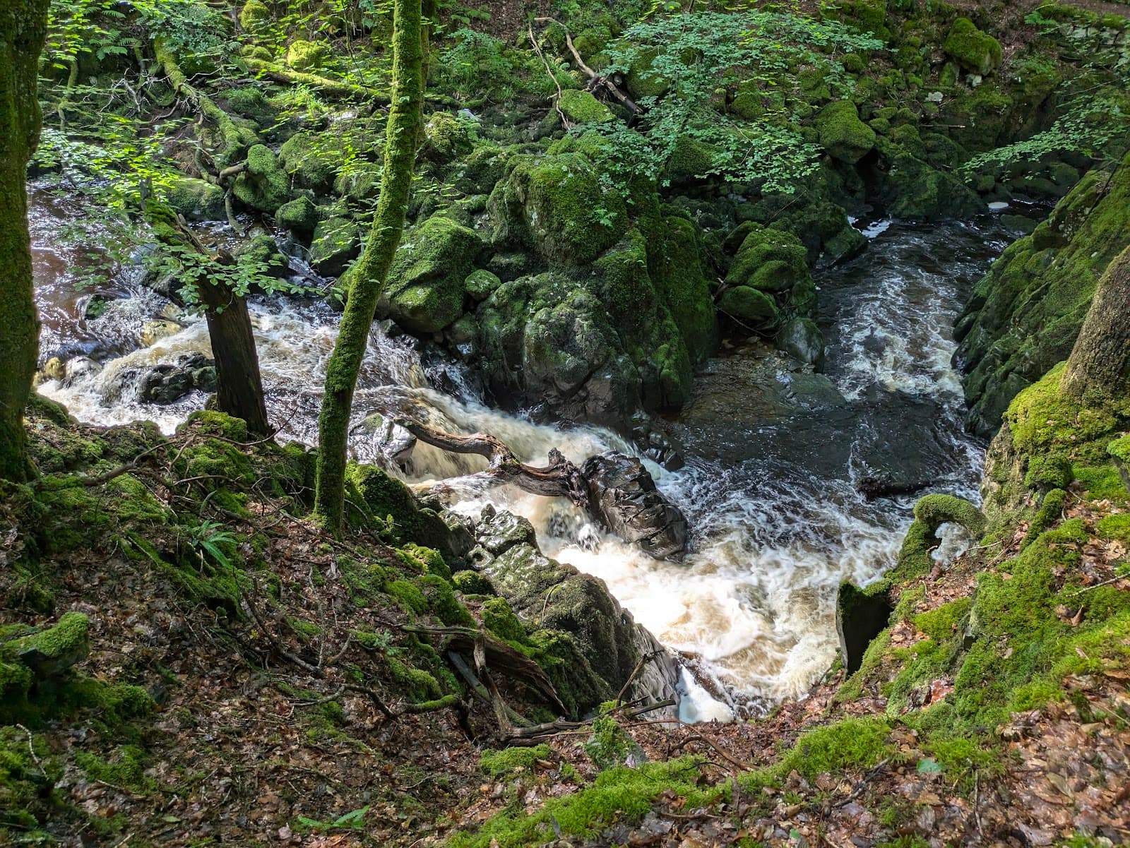 Torrent Walk - Image 1