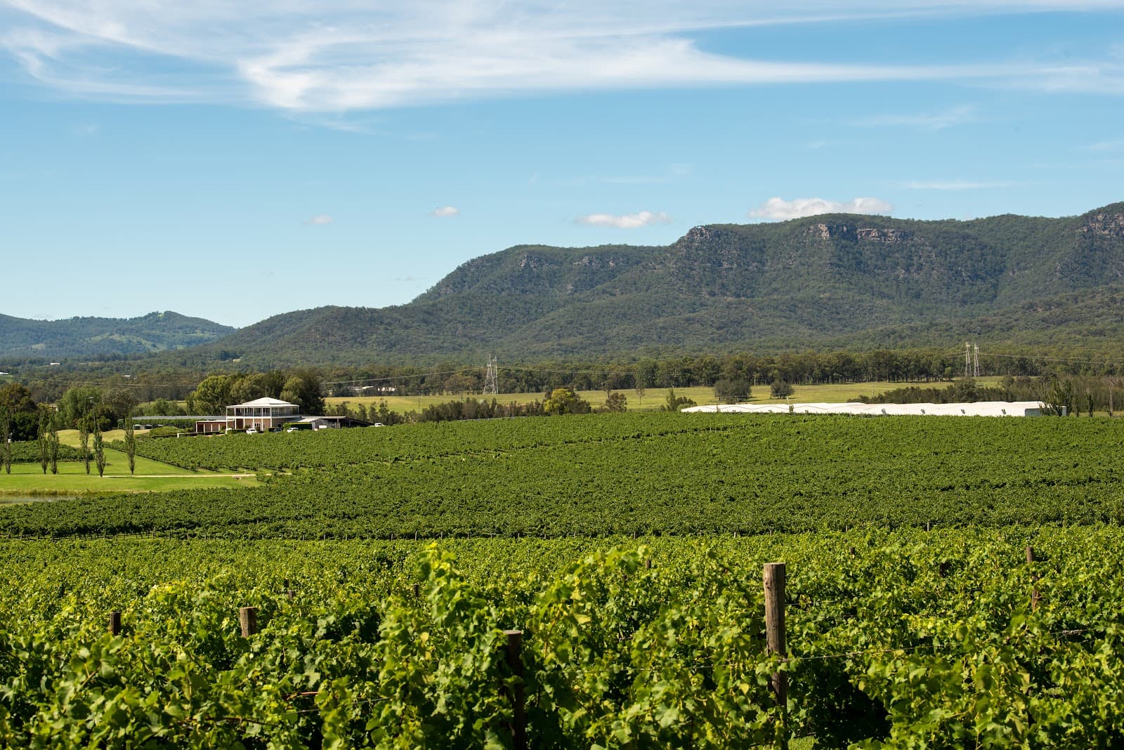 Hermitage Road Cycleway - Image 1