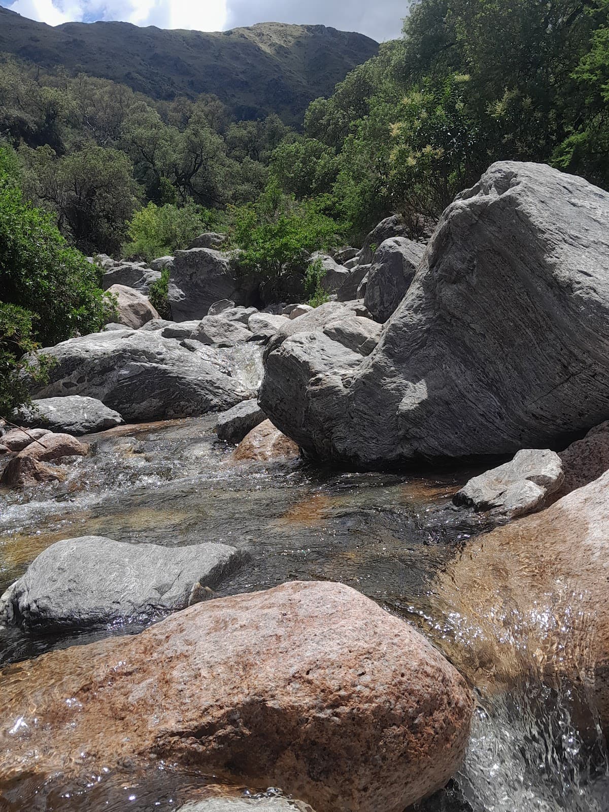 Villa Elena - Image 1