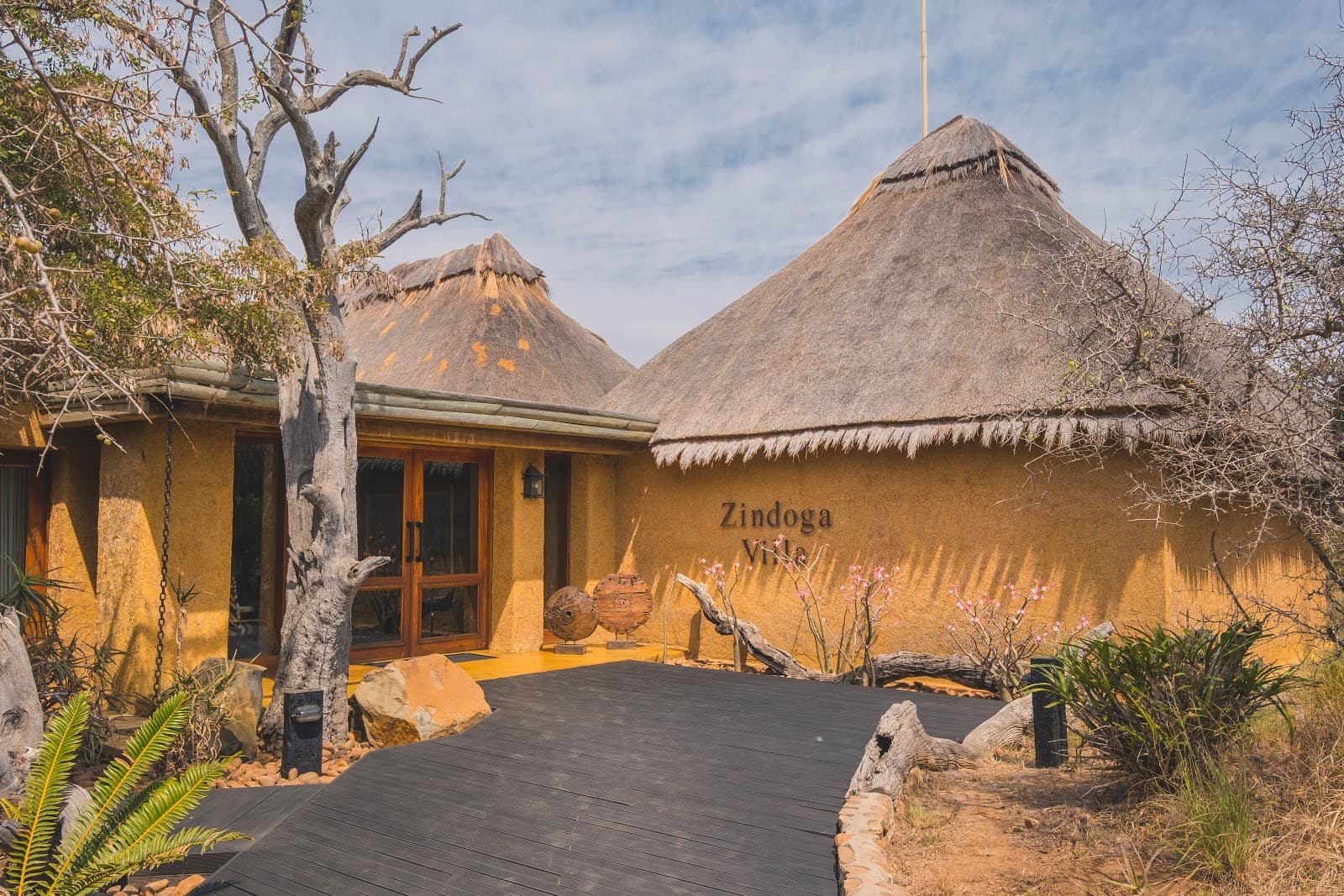HERD Elephant Orphanage and Jabulani - Image 1