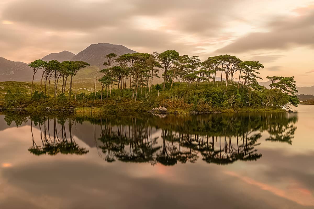 Exploring the Island