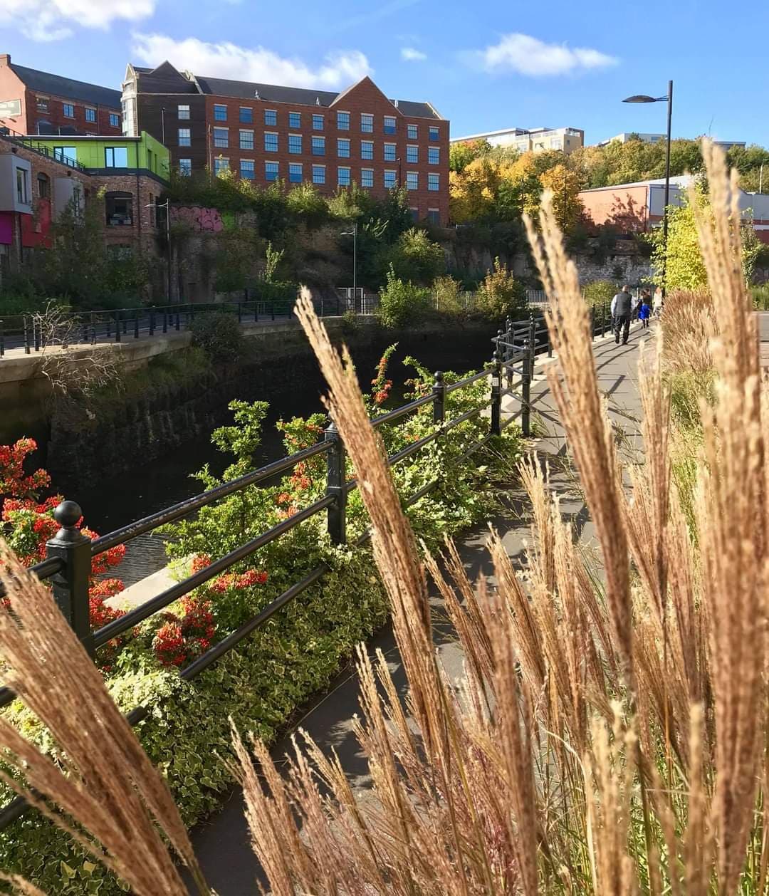Ouseburn Valley Newcastle - Image 1
